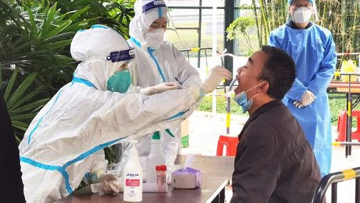 모든 직원이 핵산 테스트에 참여했습니다.